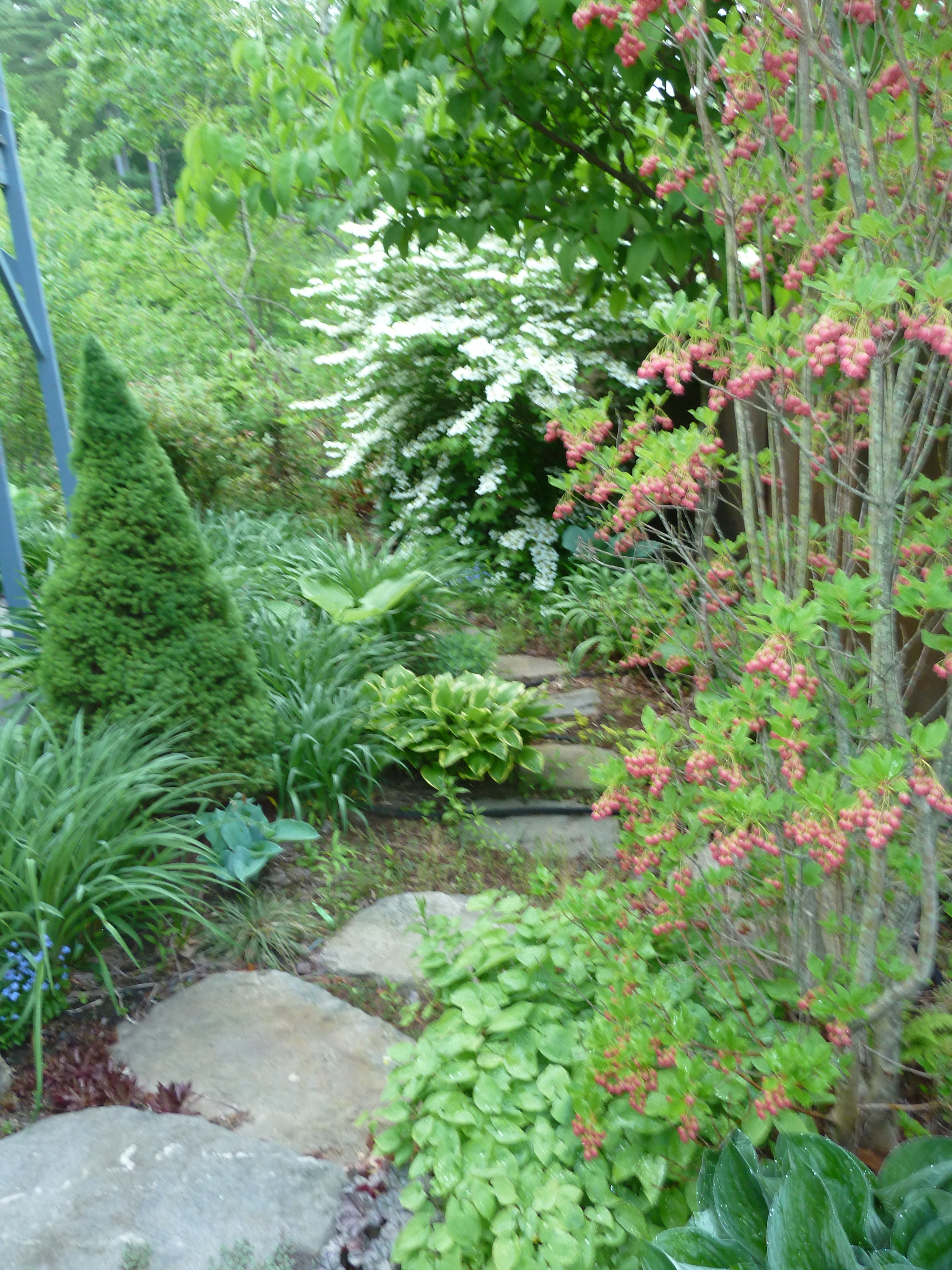 Gardens — antidotes to the news