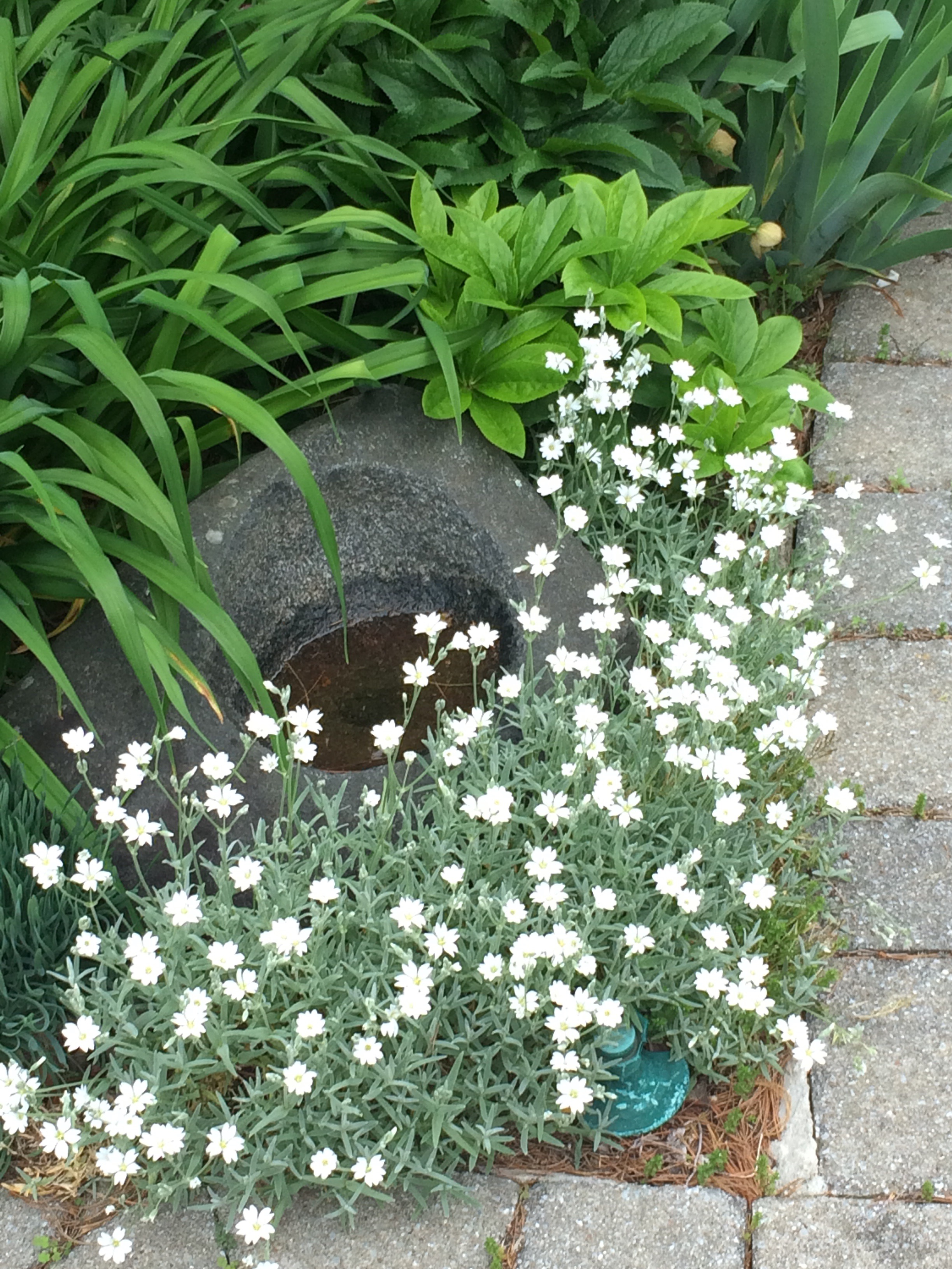 My Spring Garden: Design Moments