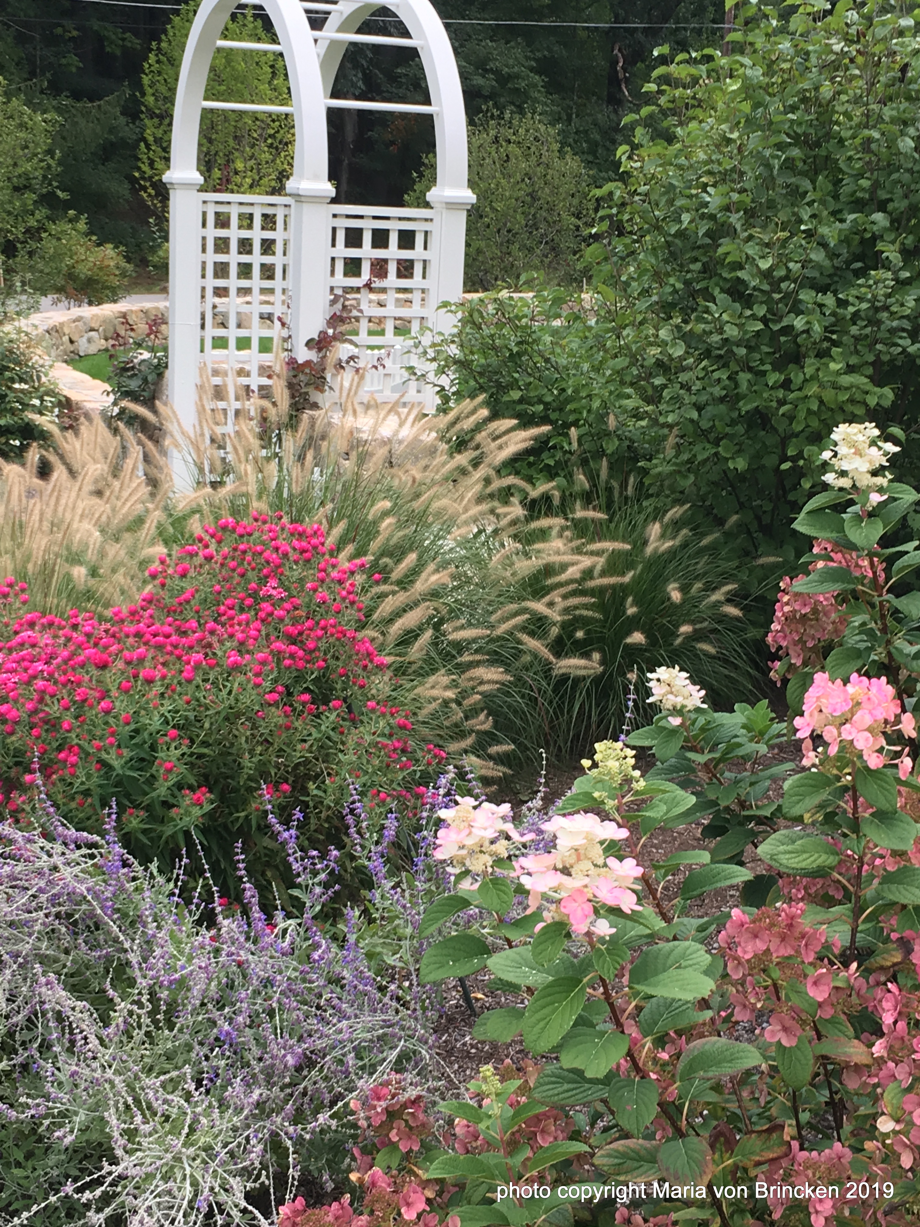 What’s Beauty Anyway?