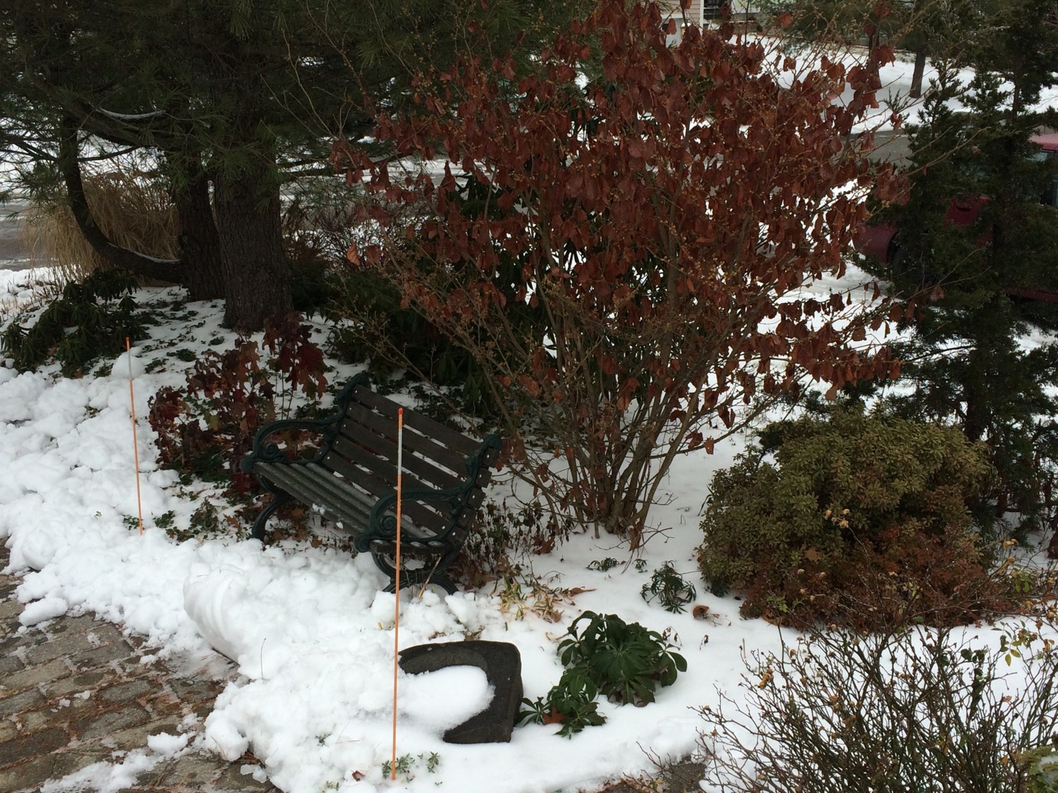 Winter Garden