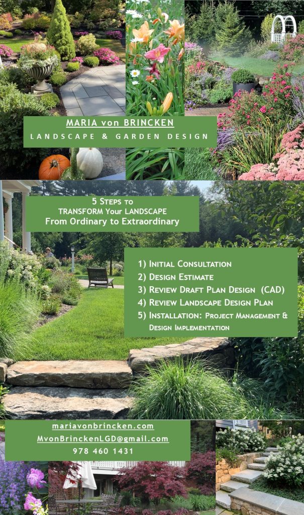 Transform Your Landscape to Extraordinary