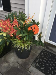 Quick Fall Harvest/Halloween Containers